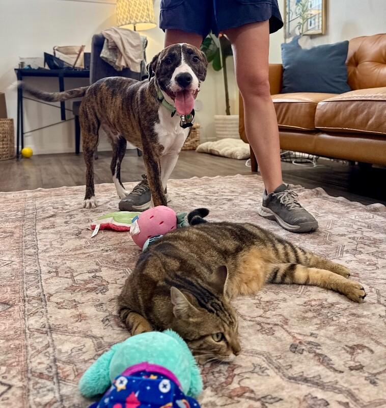 Finn Sweeite The Happiest Boy Around — thumbnail 4