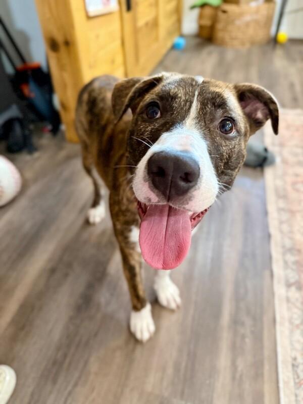 Finn Sweeite The Happiest Boy Around — thumbnail 5