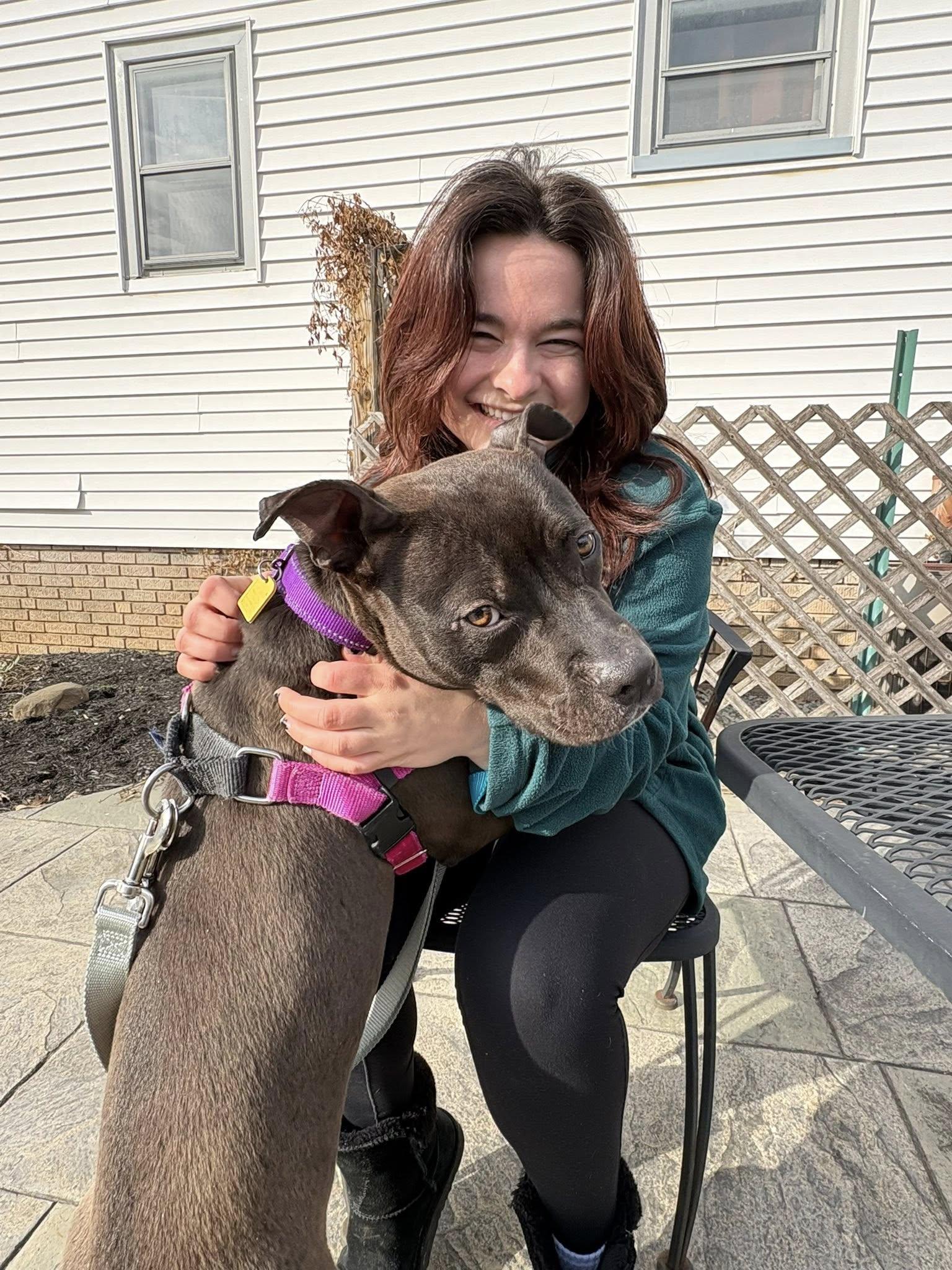 Himalaya, ADOPTABLE, Young Female Pit Bull Terrier.