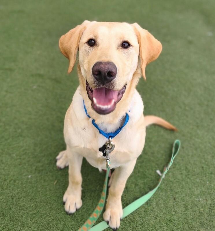 Gunner — thumbnail 4