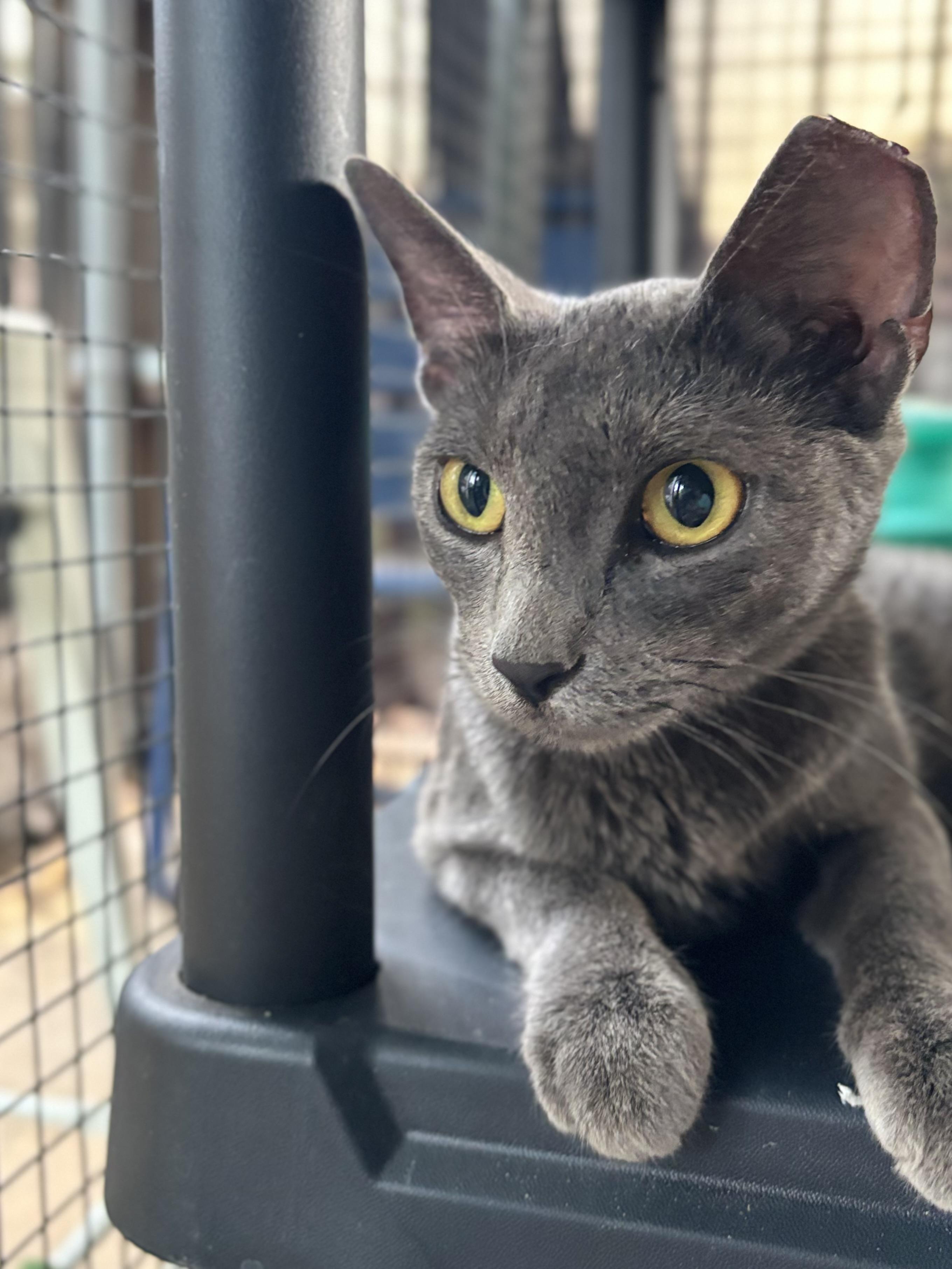Luna