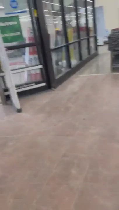 Enlarge Brooklyn (lives in Pennellville NY), a Adopted mixed breed in Pennellville, NY video 5/6