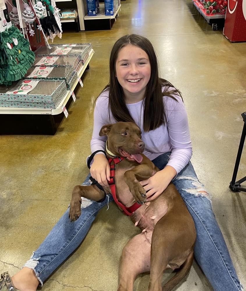 Enlarge Allie, a Adoptable mixed breed in Dawson, GA image 3/6