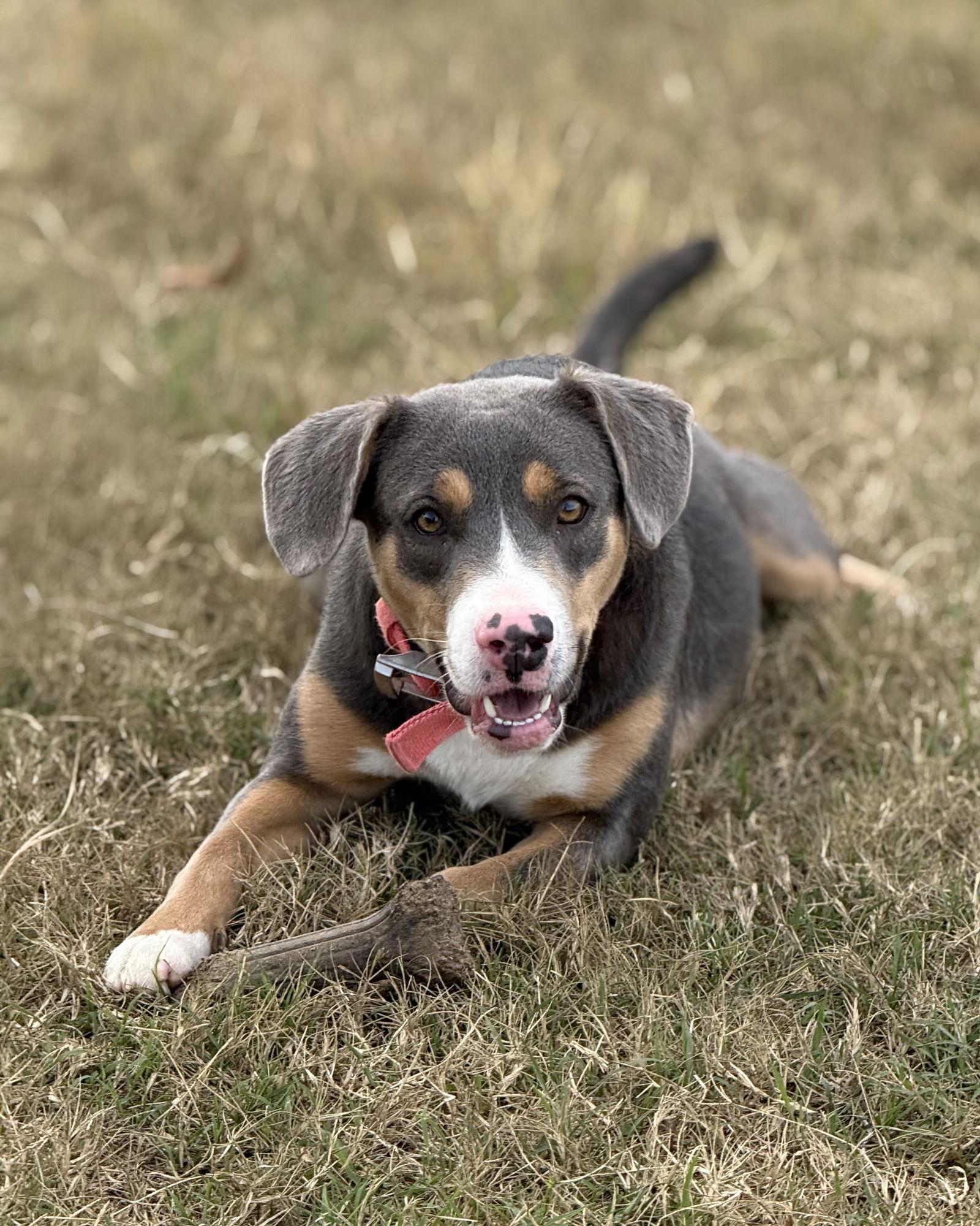 Taryn Lonestar thumbnail 3