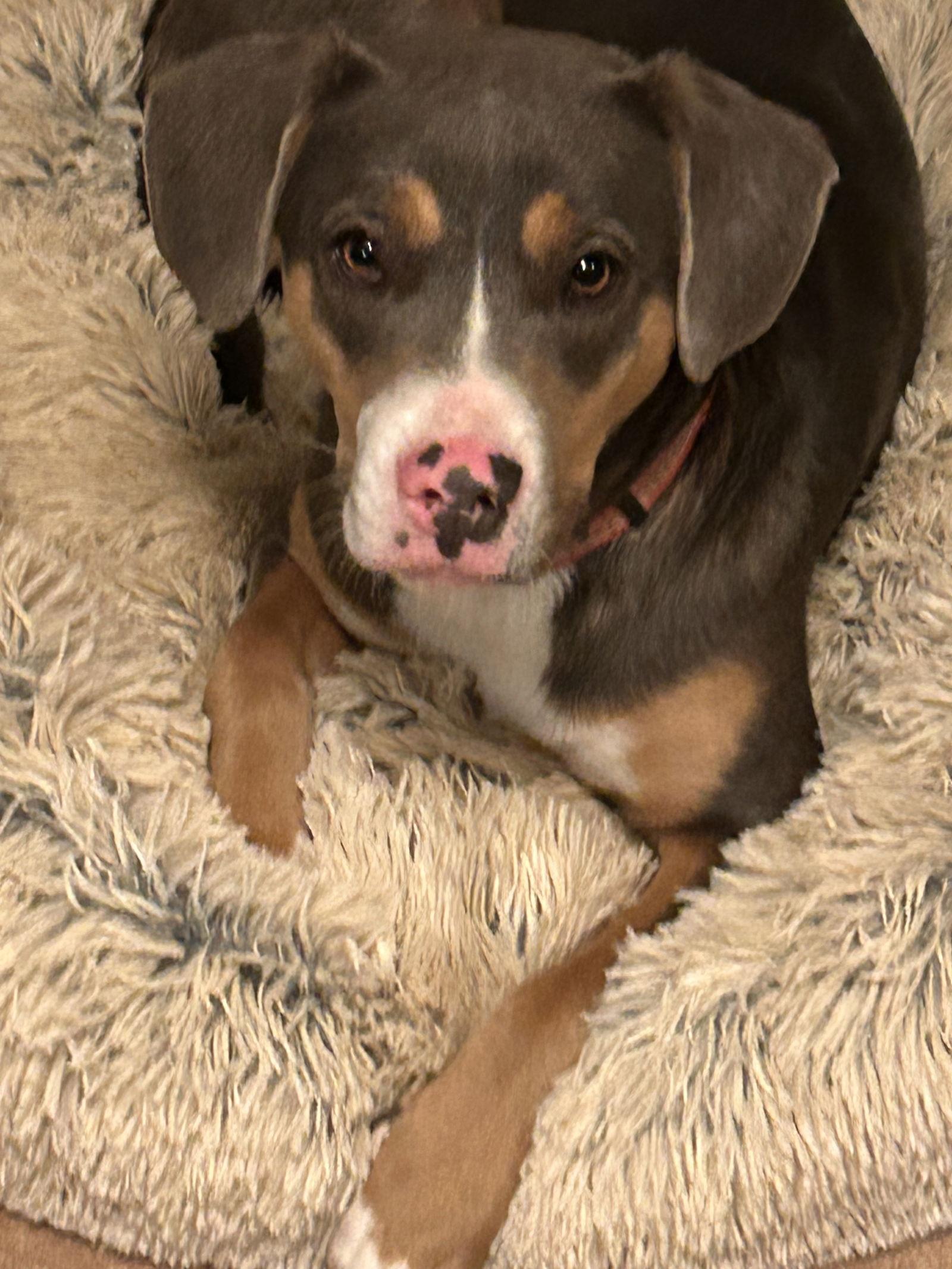 Taryn Lonestar thumbnail 4