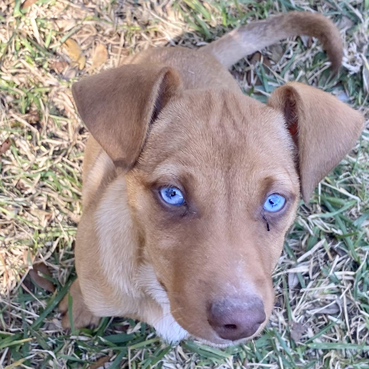 Hallie — thumbnail 3