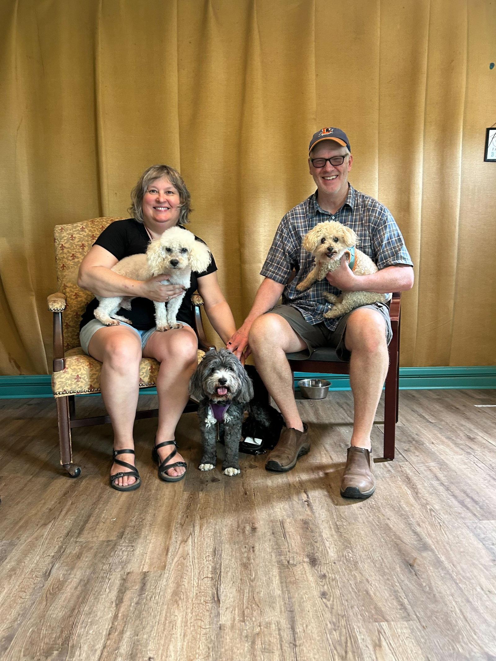 Enlarge Chowder Apr 26, a Adopted Poodle in Pacolet, SC image 2/3