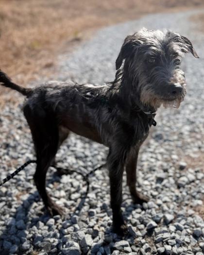 George Costanza — thumbnail 2