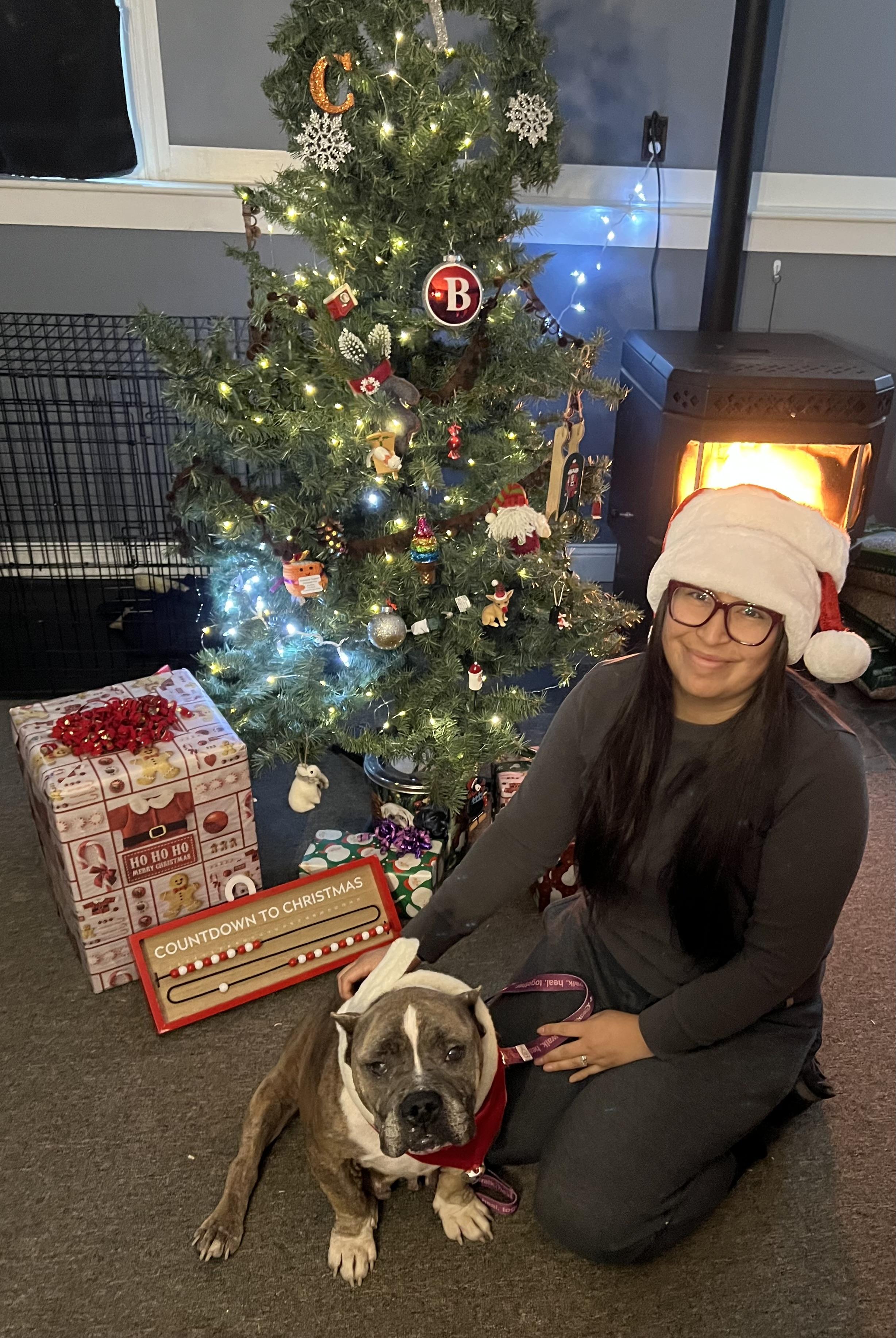 Enlarge Nina, a ADOPTABLE mixed breed in Bowdoin, ME image 6/6