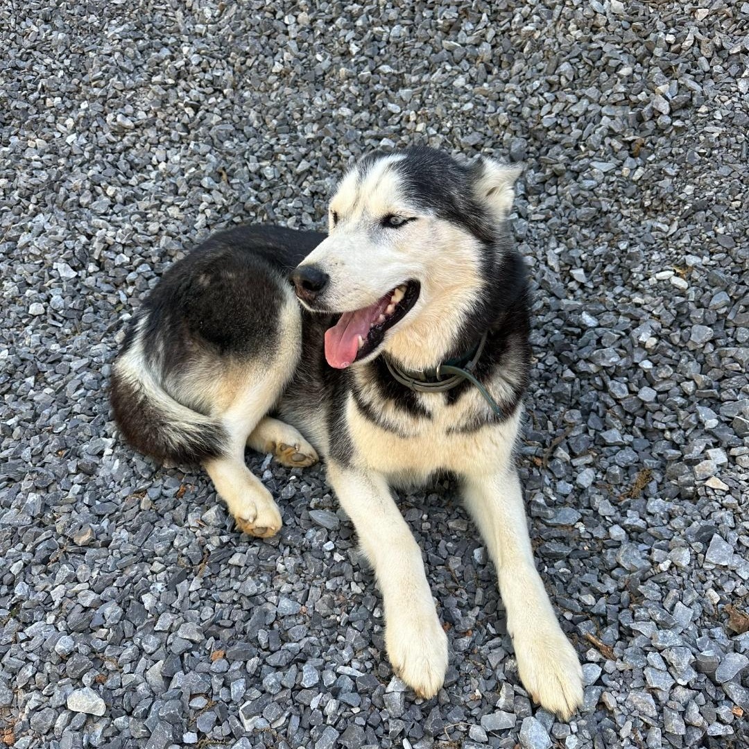 Jax photo 2
