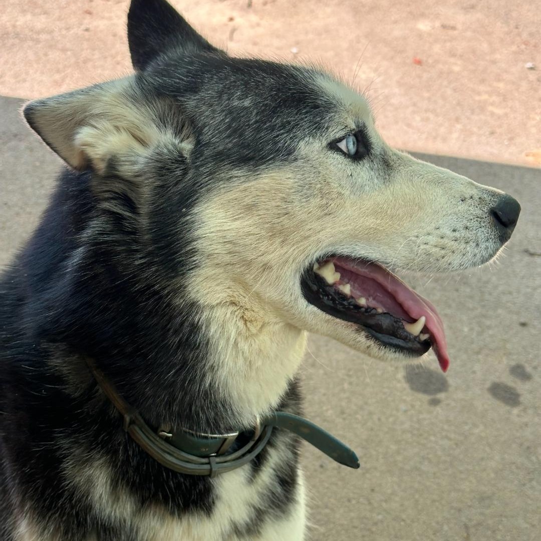 Jax photo 3