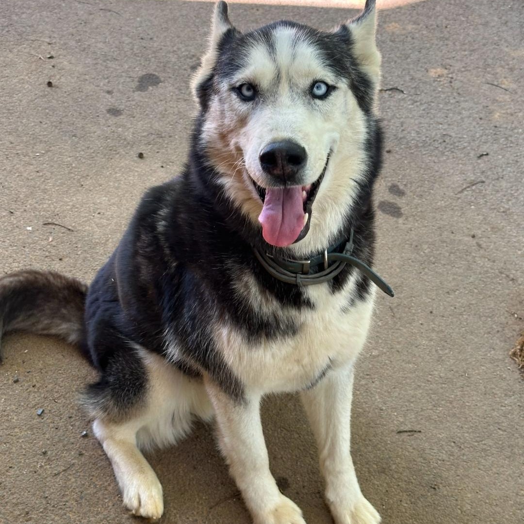Jax