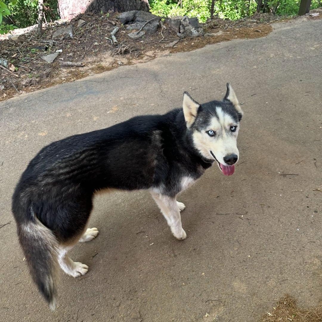 Jax photo 4