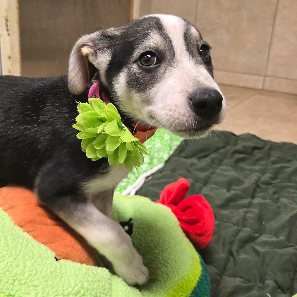 Bologna — thumbnail 2