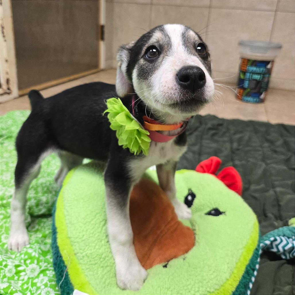 Bologna — thumbnail 3