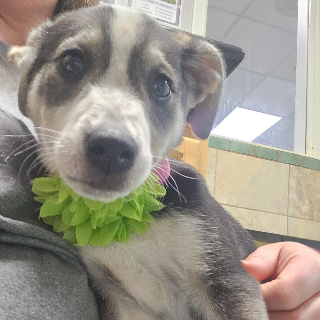 Bologna — thumbnail 4