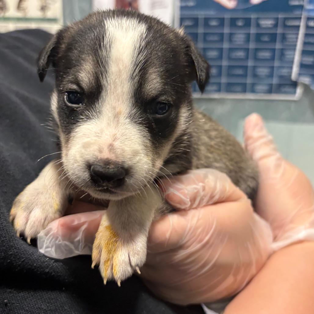 Bologna — thumbnail 5