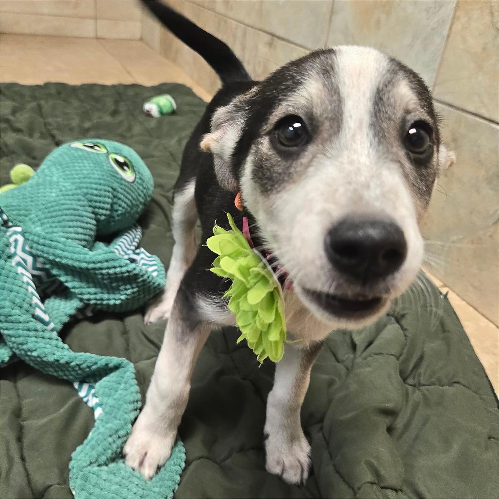 Bologna — thumbnail 6