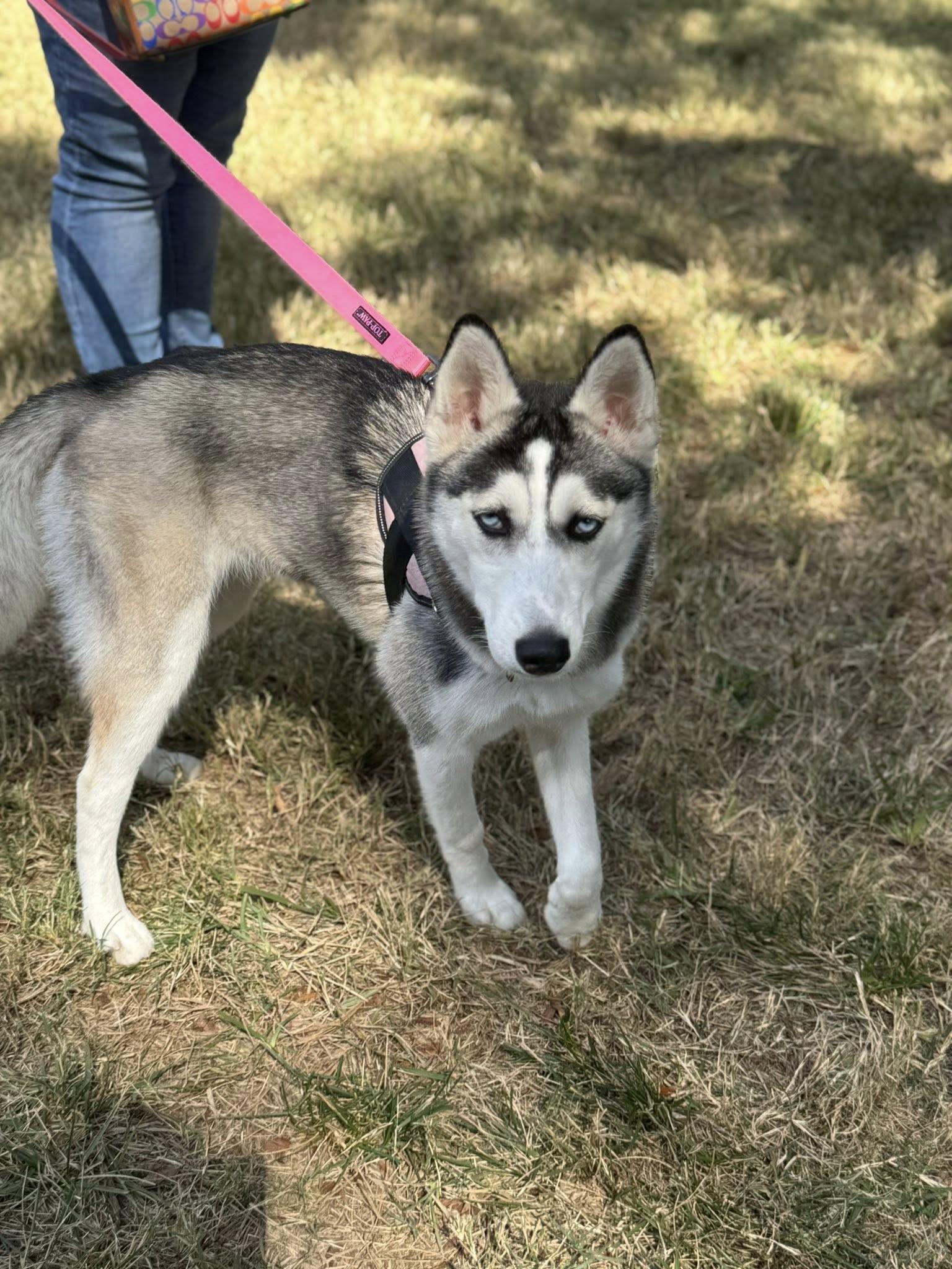 Luna