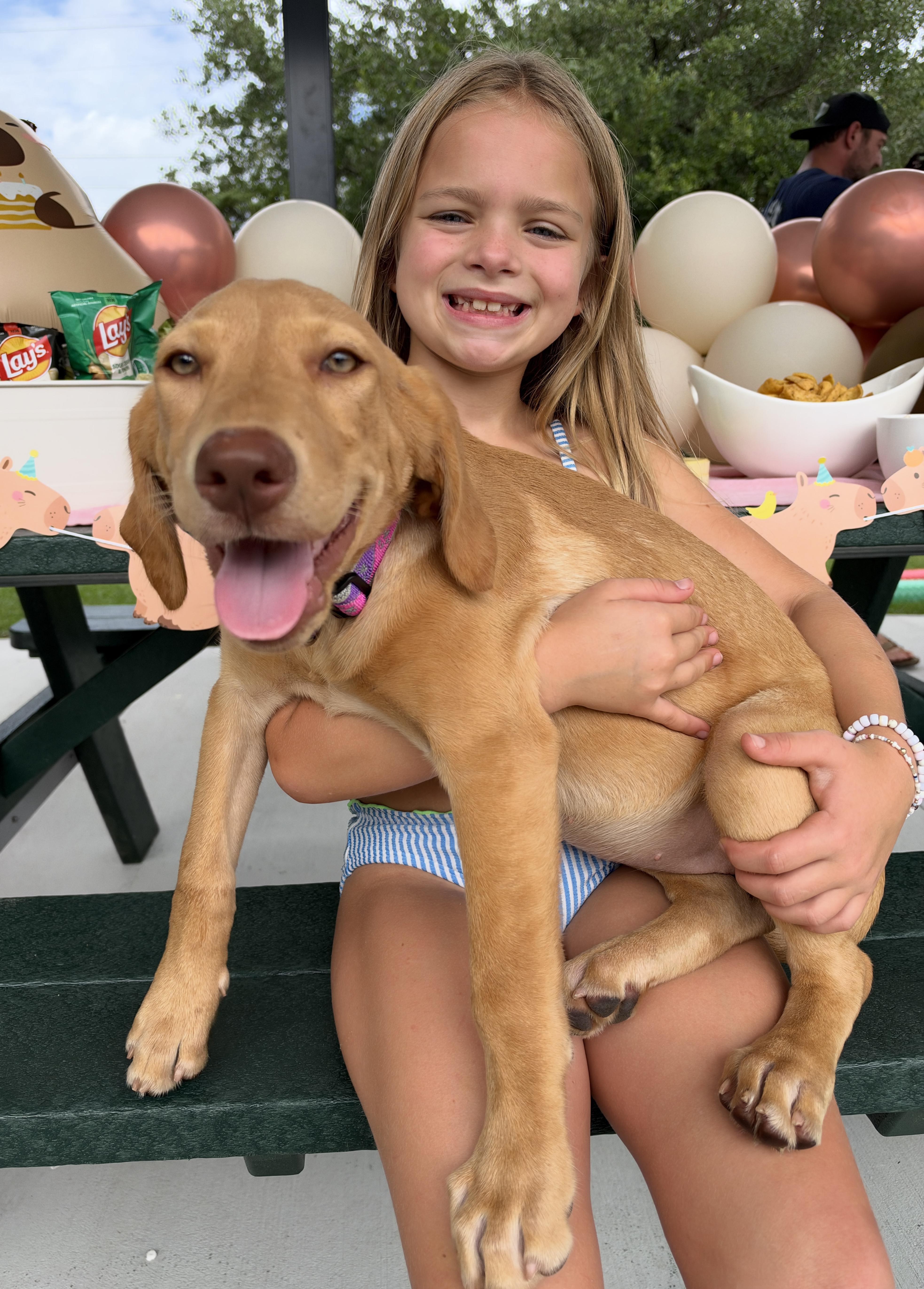 Enlarge Regina, a Adoptable mixed breed in Mt Pleasant, SC image 1/6