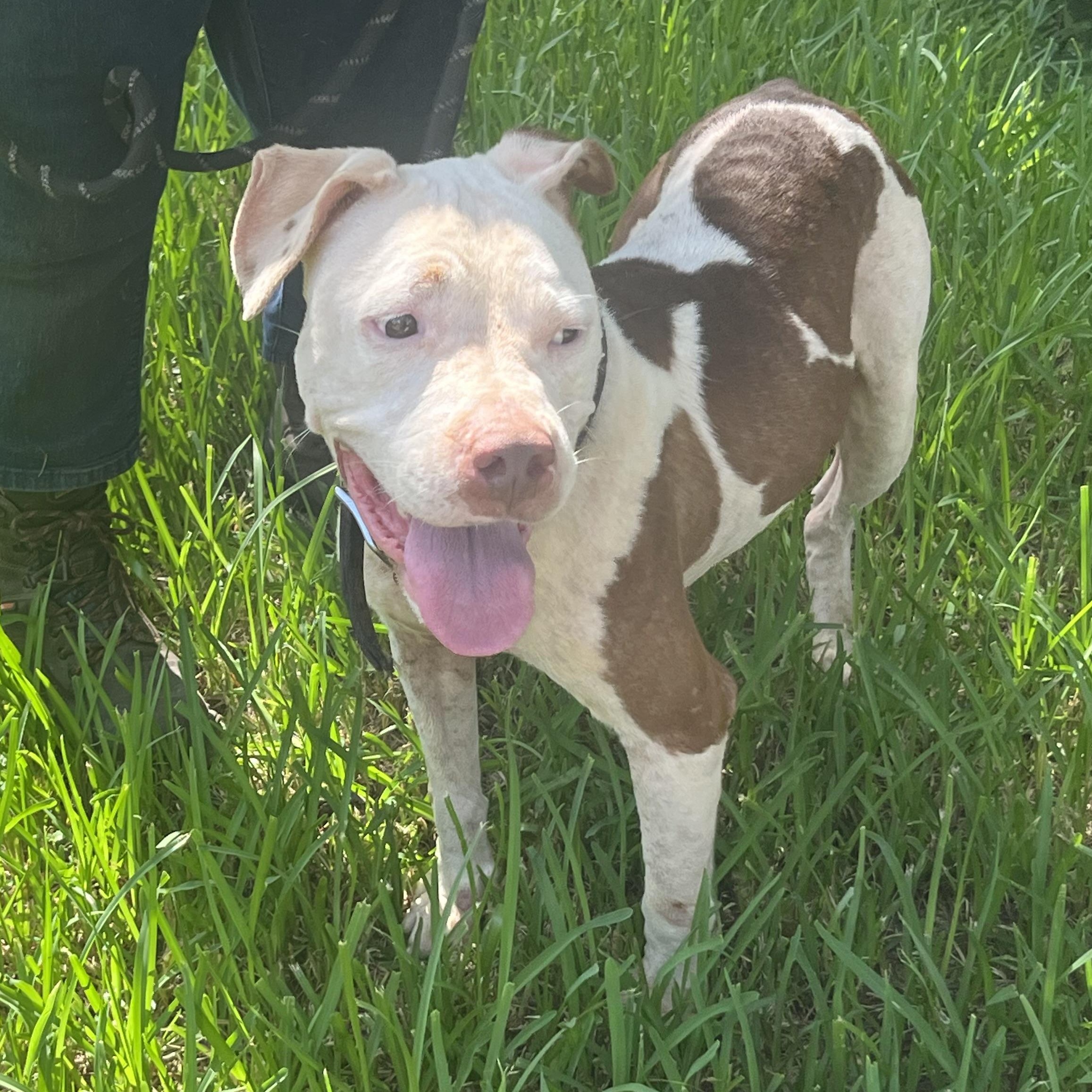 DUCKIE — thumbnail 5