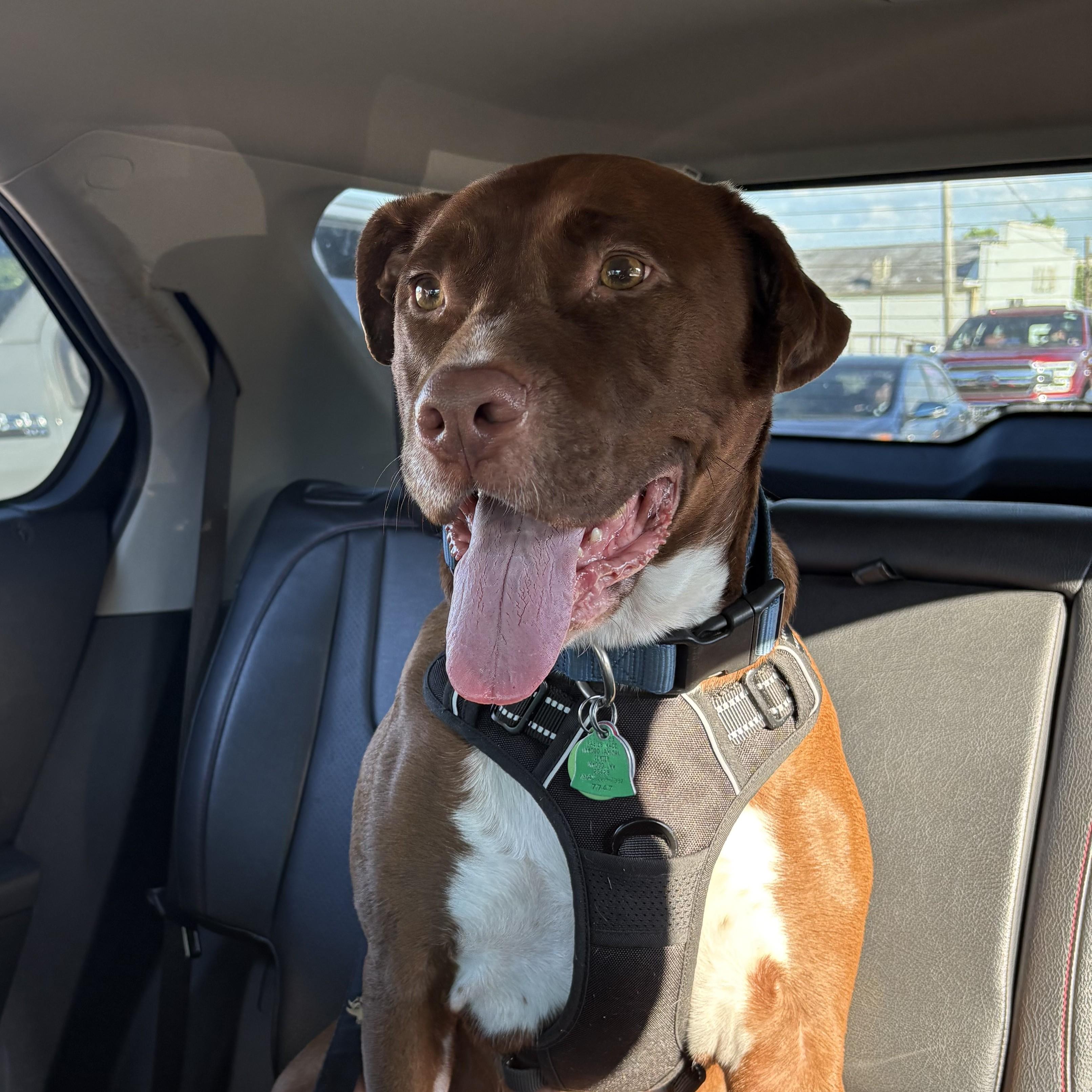 Murphy 2
