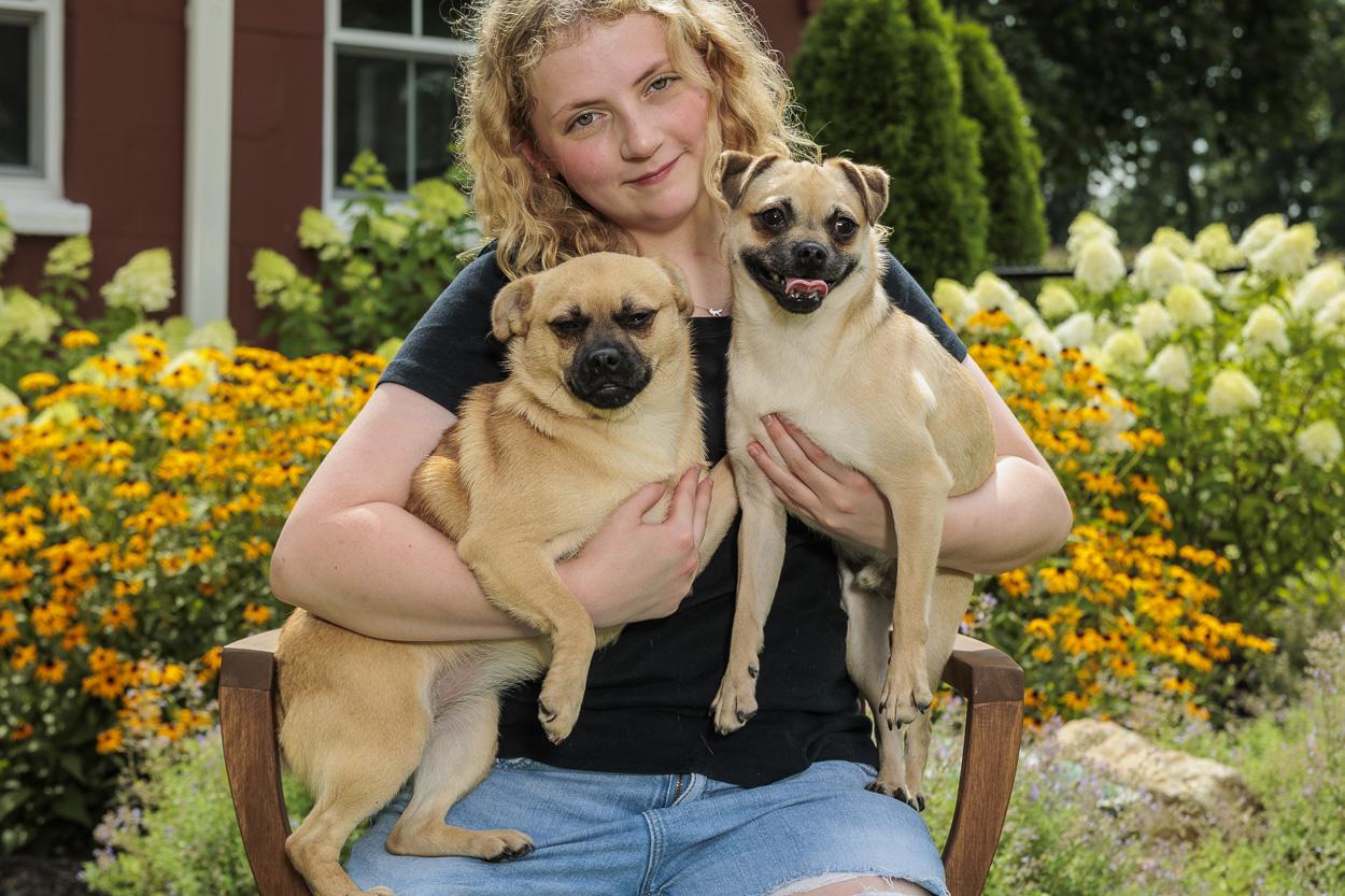 Enlarge Homer & Holly, a Adoptable mixed breed in Chester Springs, PA image 1/1
