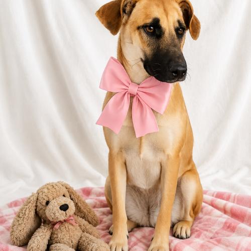 Enlarge Ginger, a Adoptable mixed breed in Leesburg, AL image 1/3