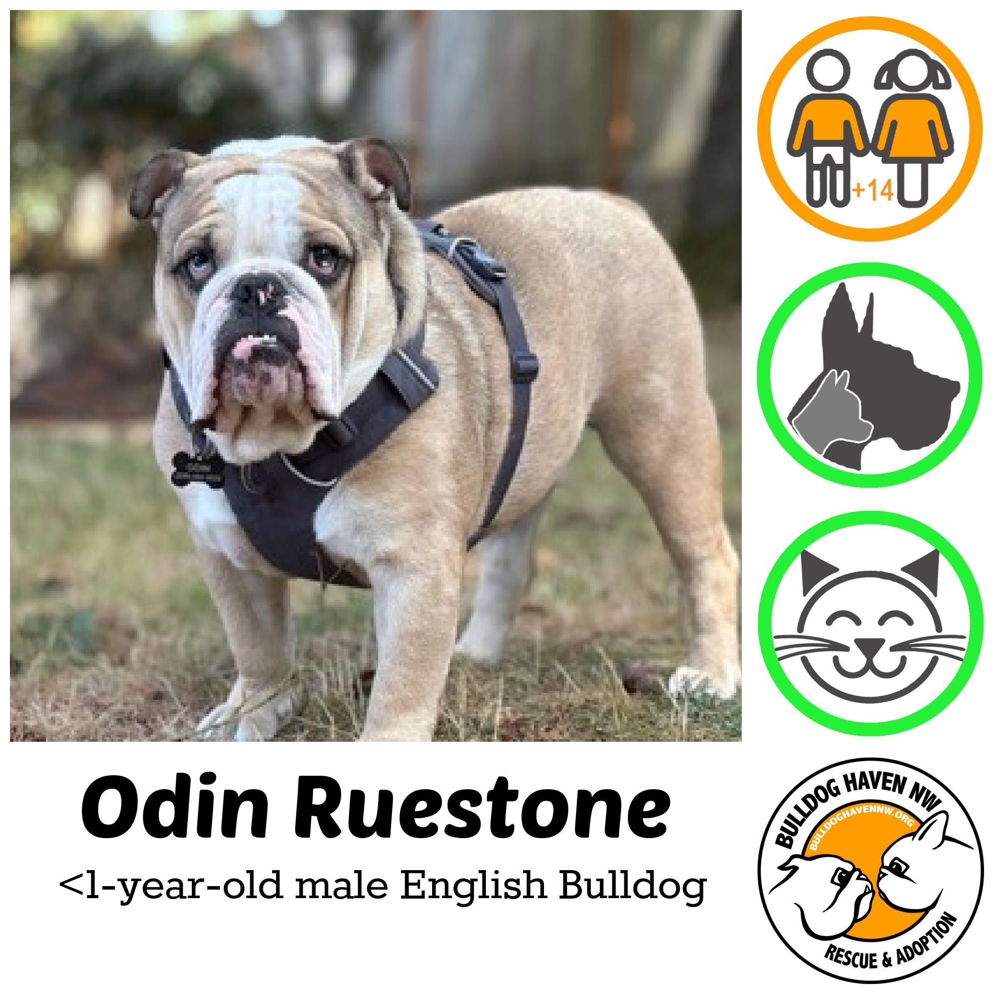 ODIN RUESTONE