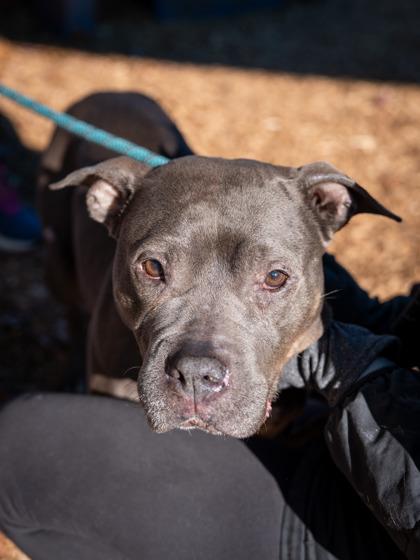 Thelma — thumbnail 3