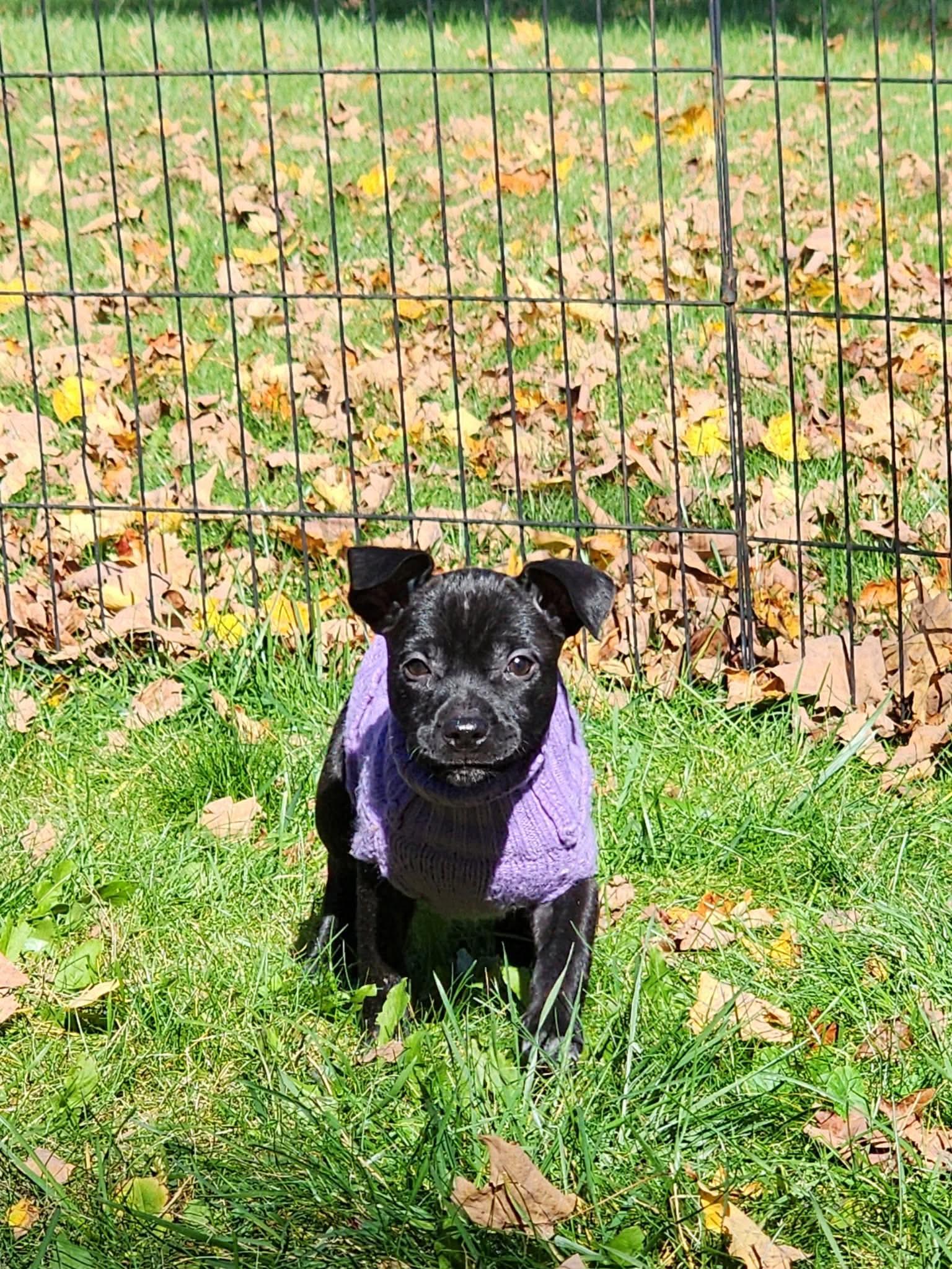 Winnie photo