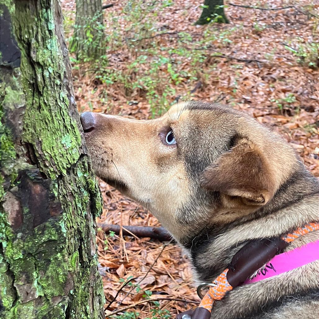 Wendy — thumbnail 2