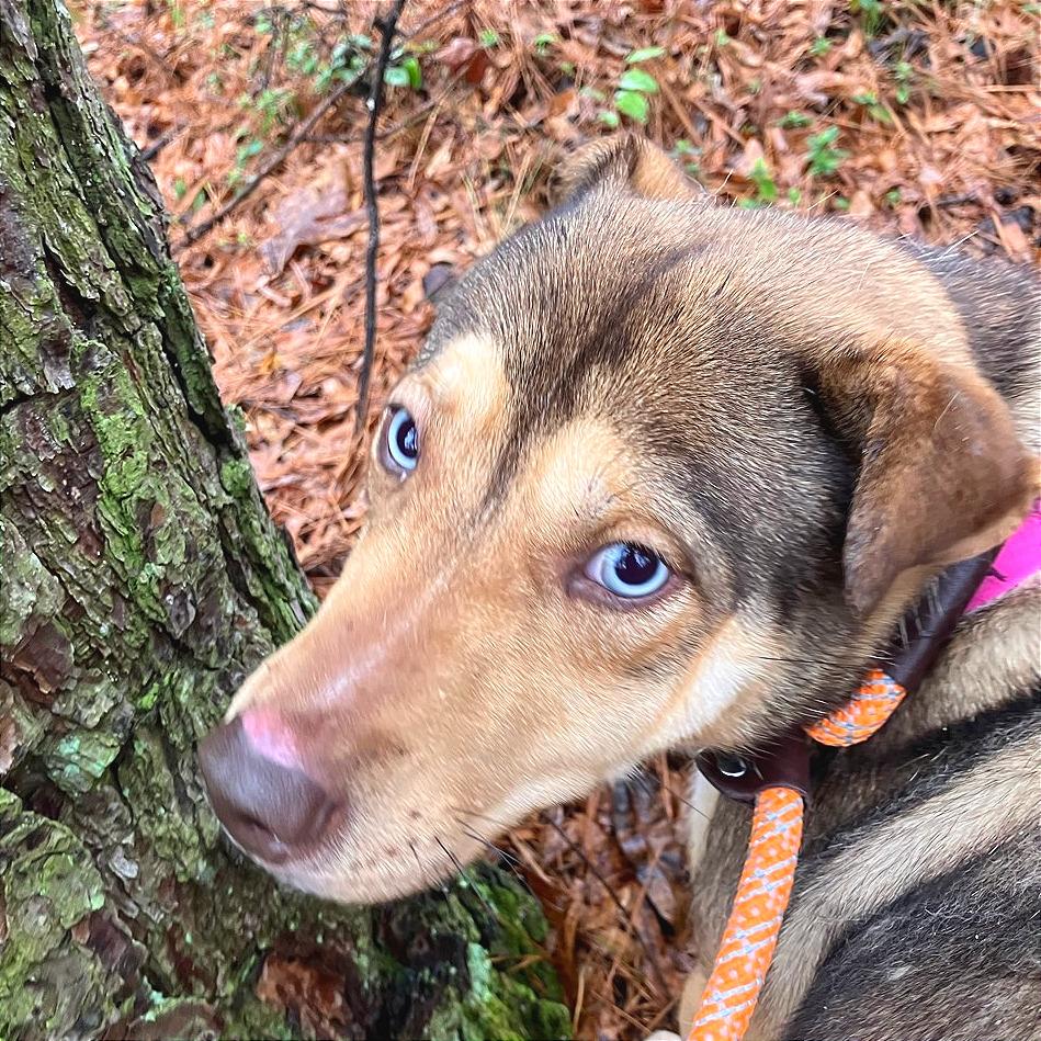 Wendy — thumbnail 3