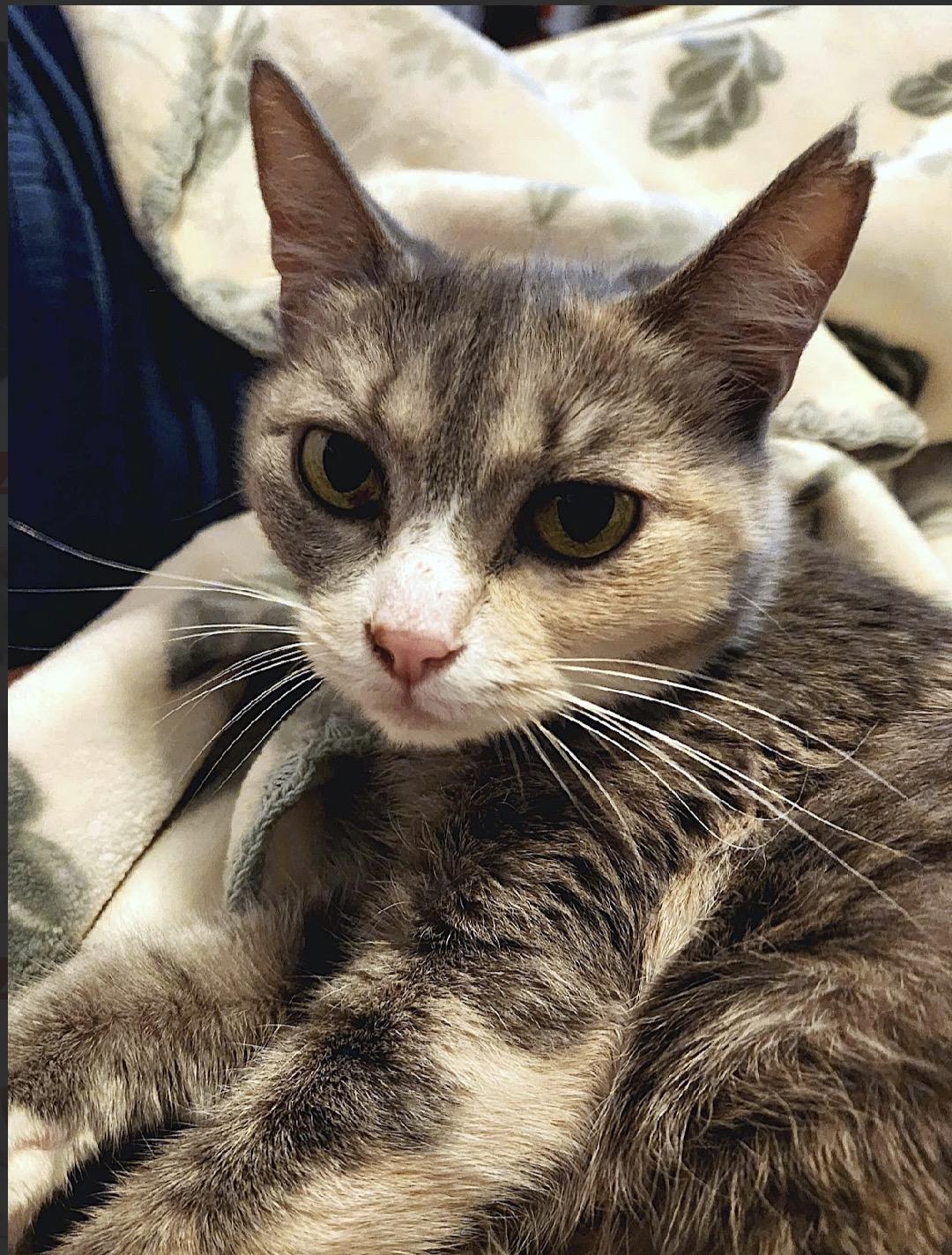 Lila - Athens Ga - COURTESY POST