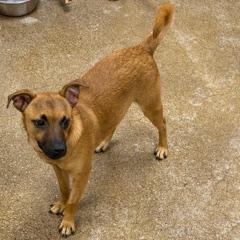 Sonny — thumbnail 2