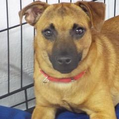 Sonny — thumbnail 4