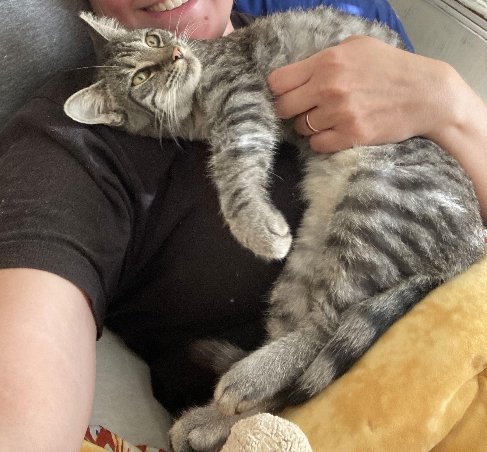 Biscuits and Gravy #bonded-sisters