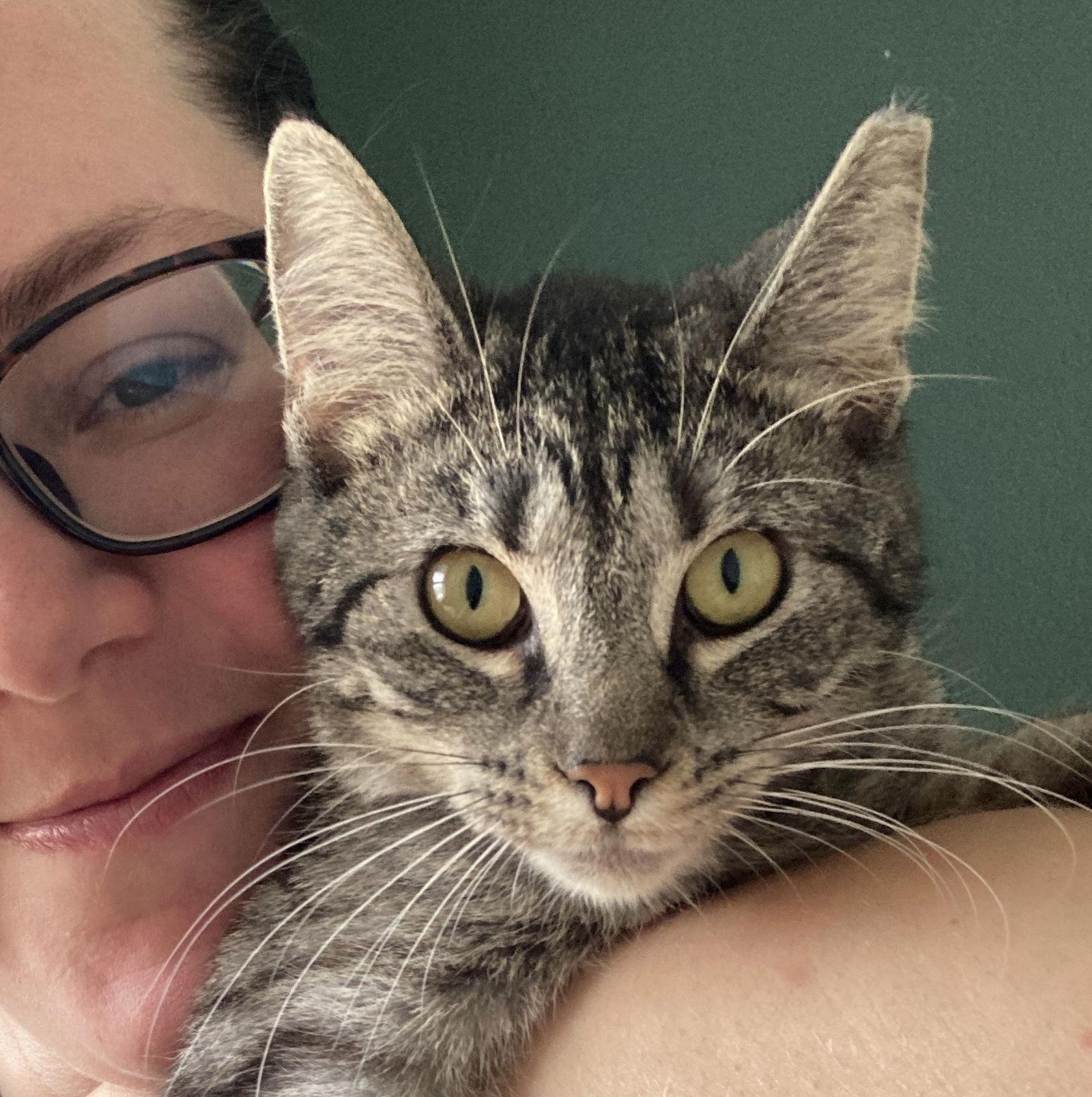 Enlarge Biscuits and Gravy #bonded-sisters, a Adopted mixed breed in Houston, TX image 3/4