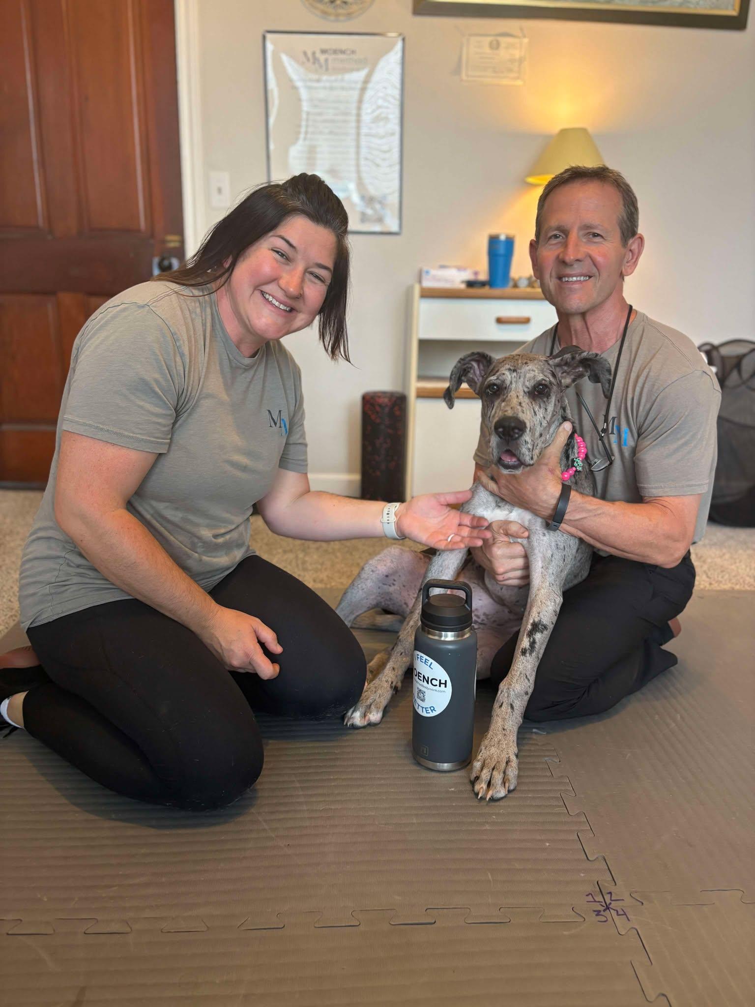 Enlarge Dottie, a Adoptable Great Dane in Boerne, TX image 4/6