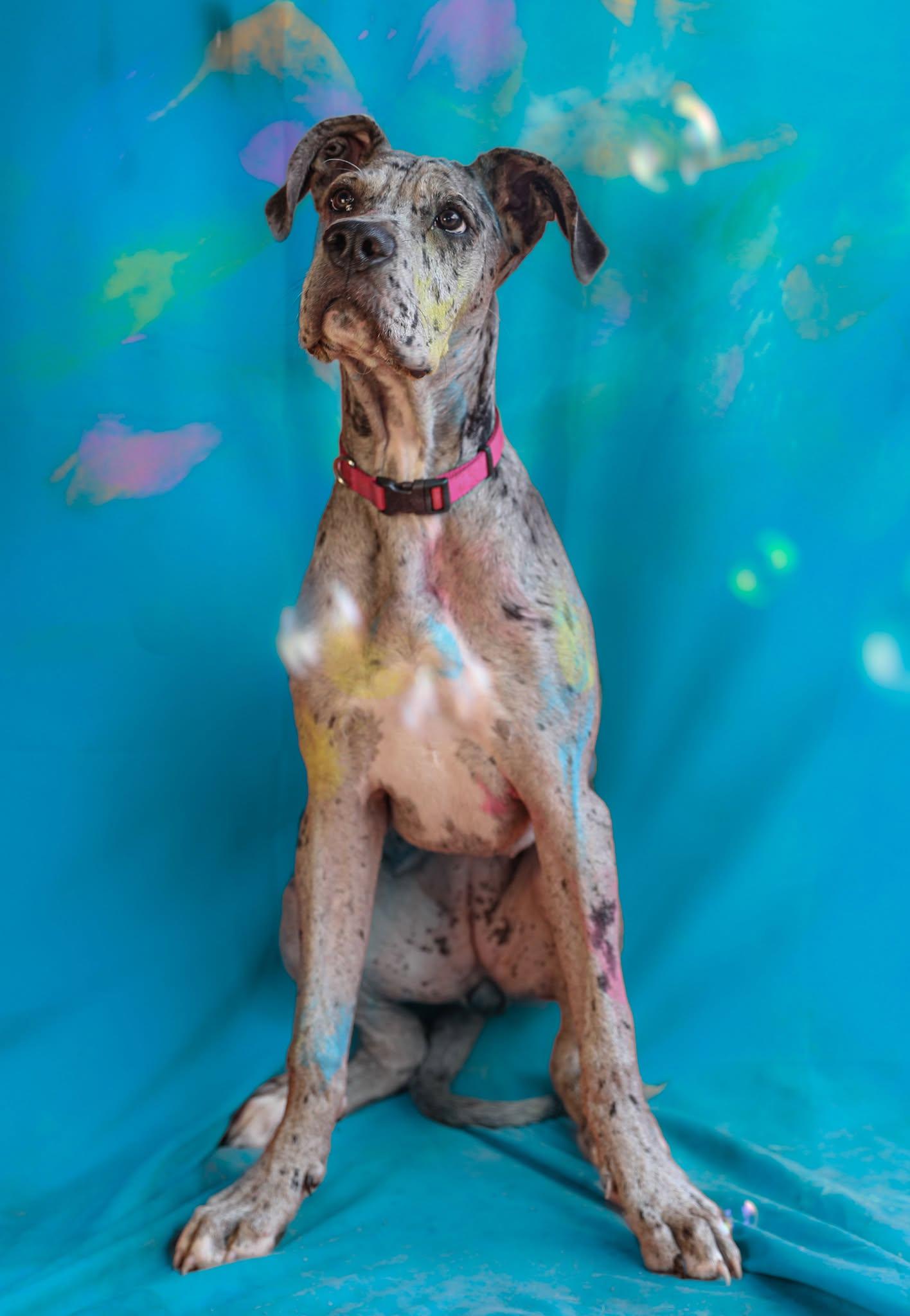 Dottie photo 2