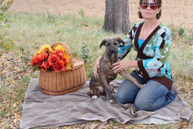 Enlarge Janet, a Adopted mixed breed in Arlington, TX image 3/5