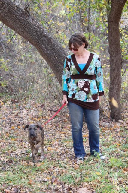 Enlarge Janet, a Adopted mixed breed in Arlington, TX image 4/5