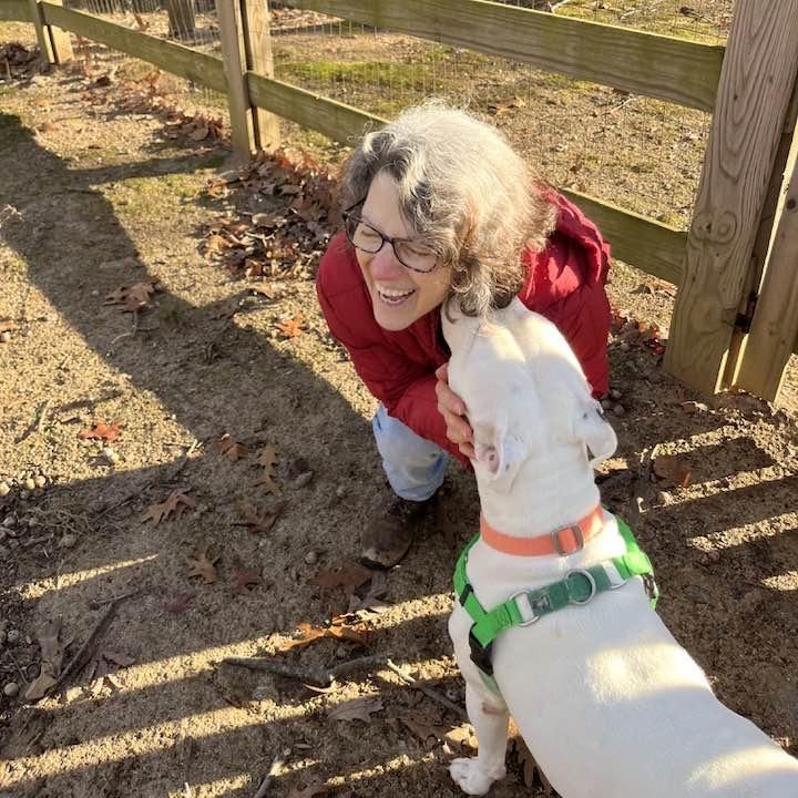 Enlarge Paris, a Adoptable Pit Bull Terrier in Baltimore, MD image 3/3