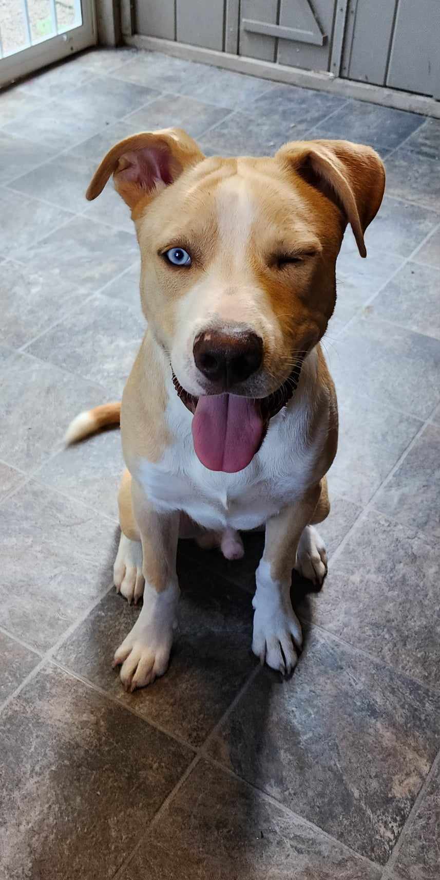 Sweet boy Vinny