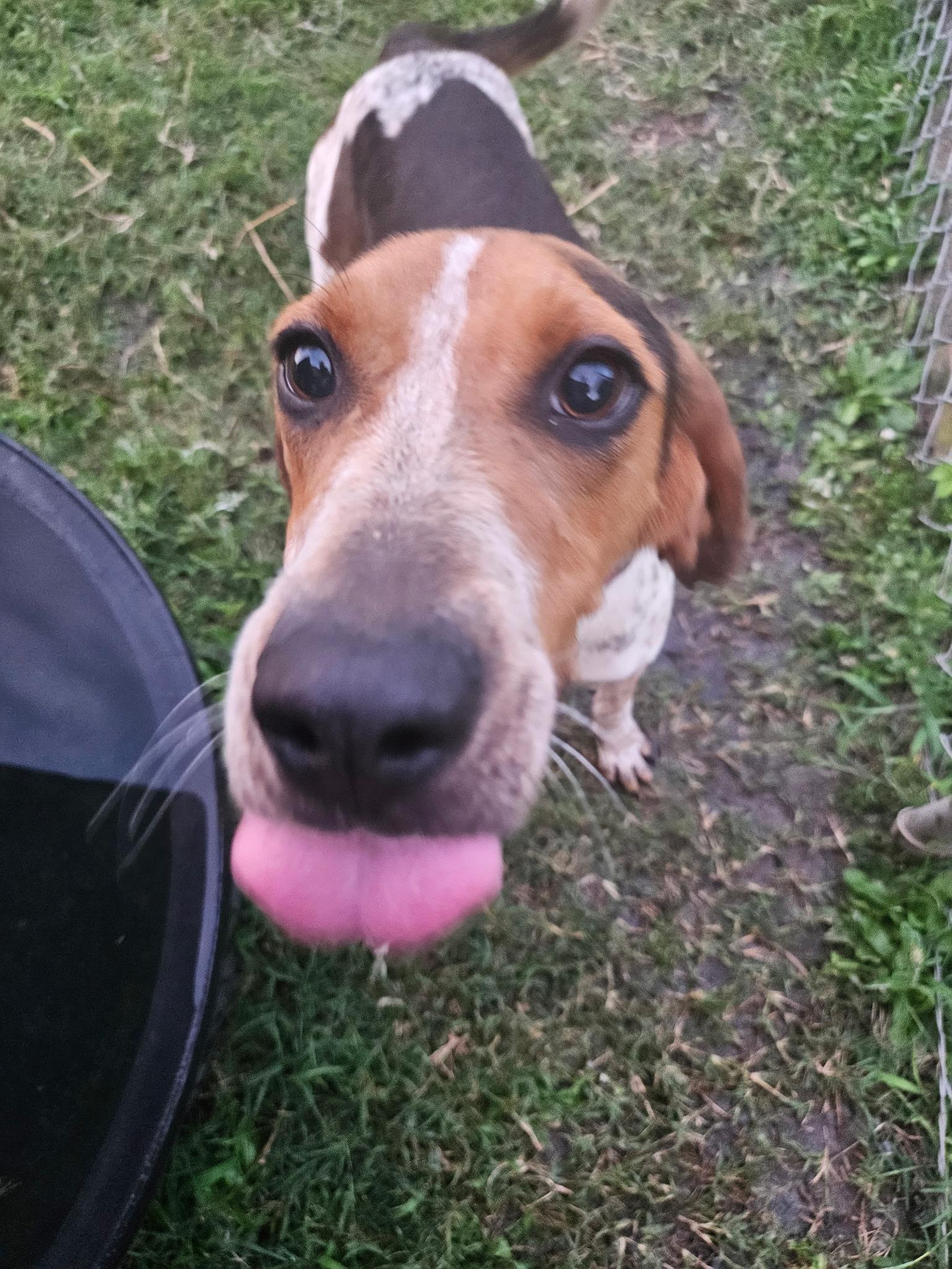 Bonnie photo 1
