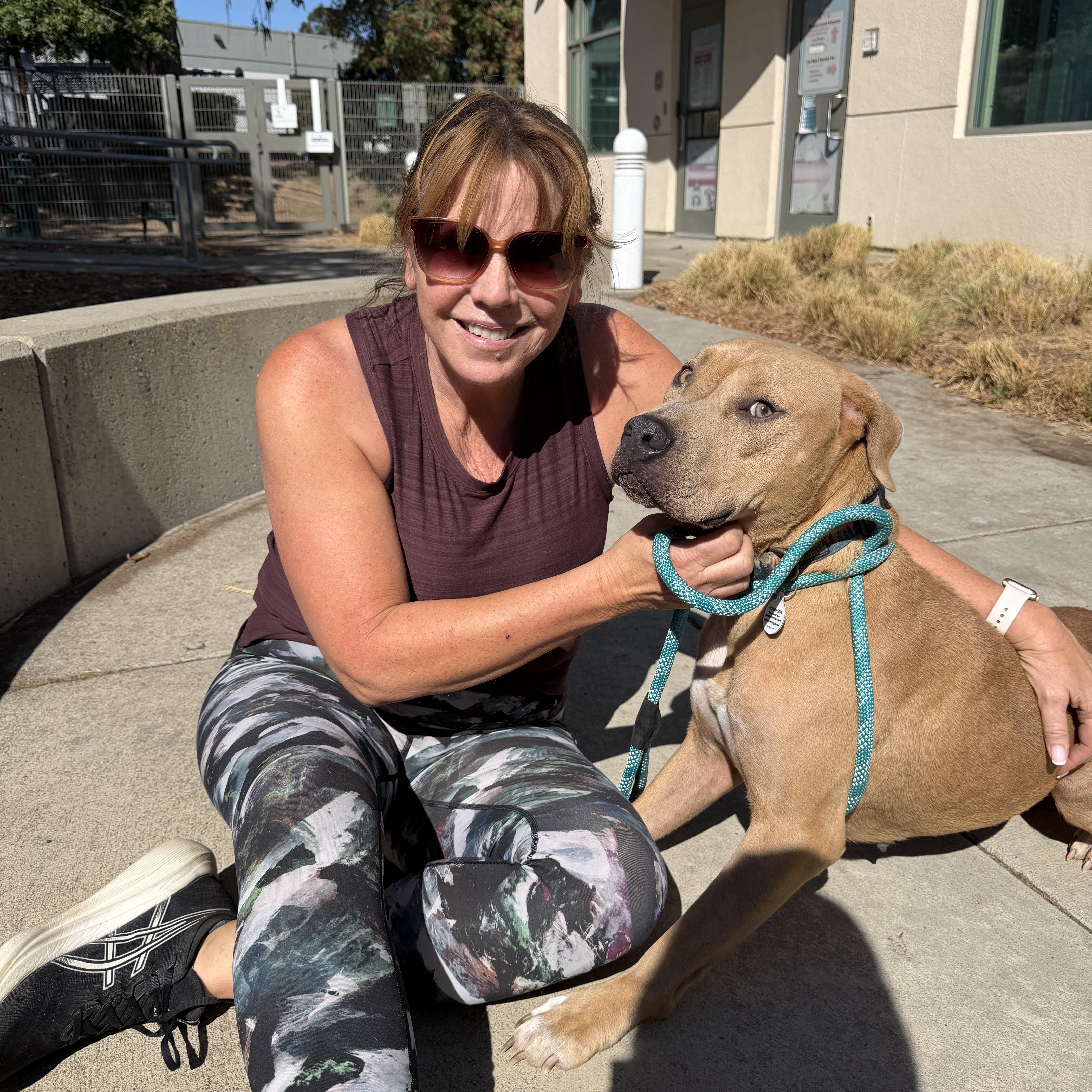 Enlarge Lana, a Adopted mixed breed in Fairfield, CA image 2/5