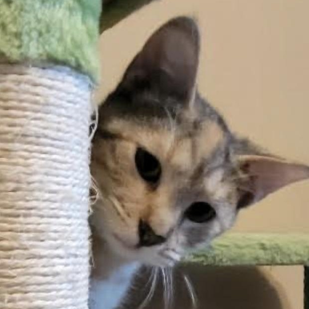 Tabitha photo 3