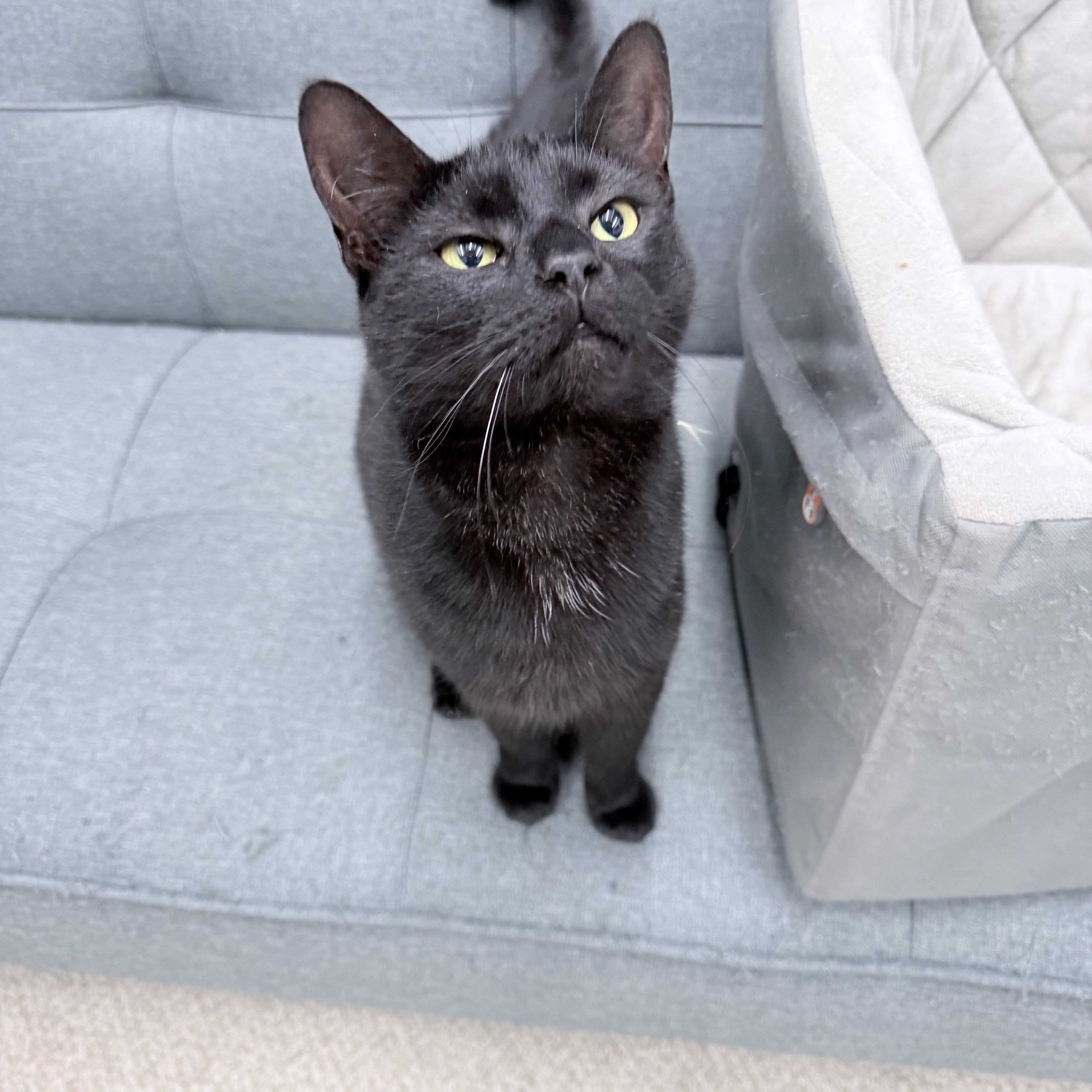 Lilianna thumbnail 2