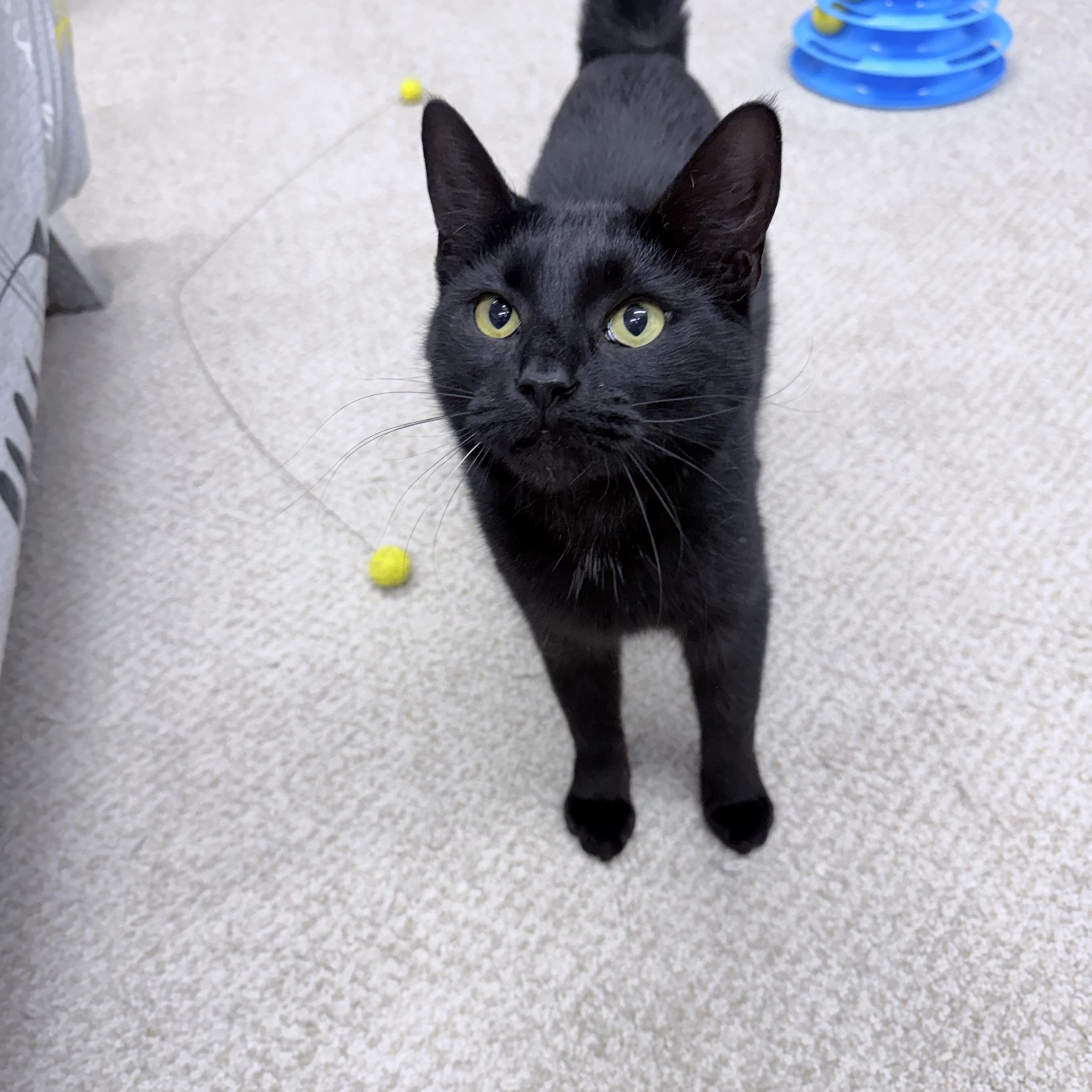 Lilianna thumbnail 3