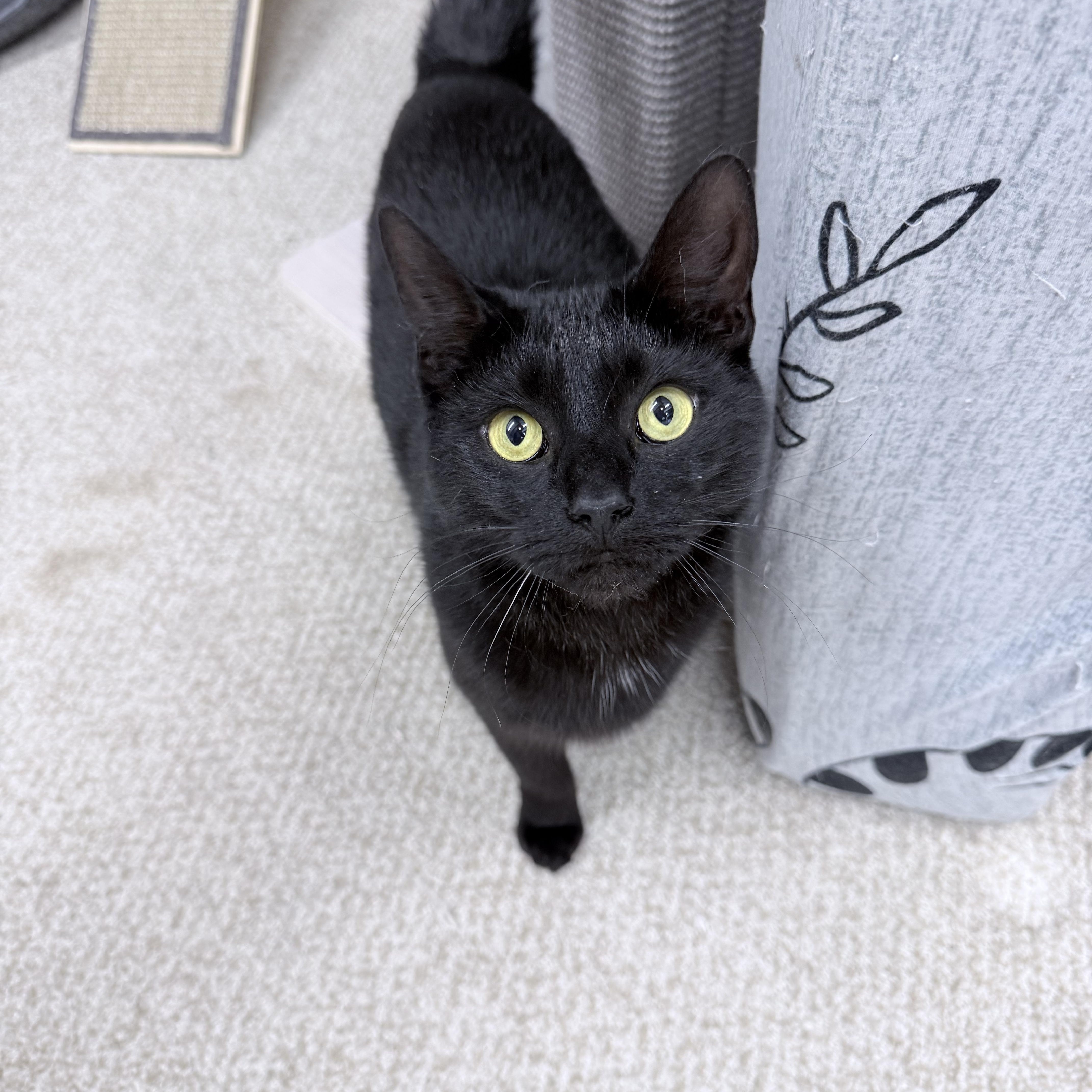 Lilianna thumbnail 5